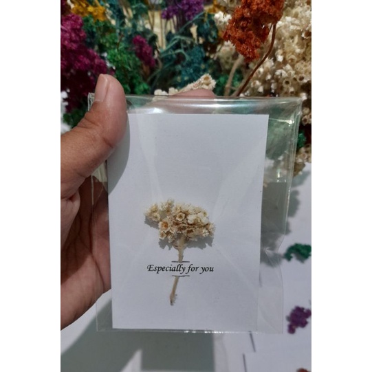 Jual Kartu Ucapan Vintage Greetingcard Edelweis Greetingcard Dried