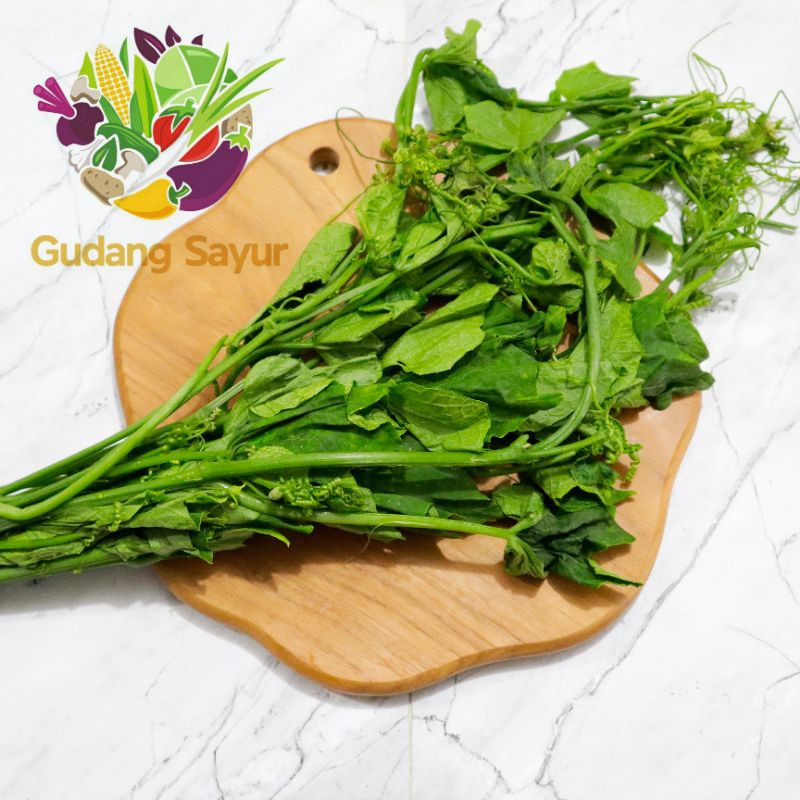 Jual Gudang Sayur Daun Pucuk Labu Ikat Shopee Indonesia