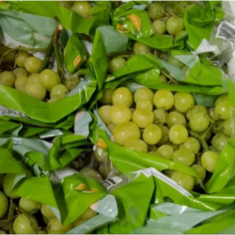 Jual Buah Anggur Hijau Seedless Fresh Kg Shopee Indonesia