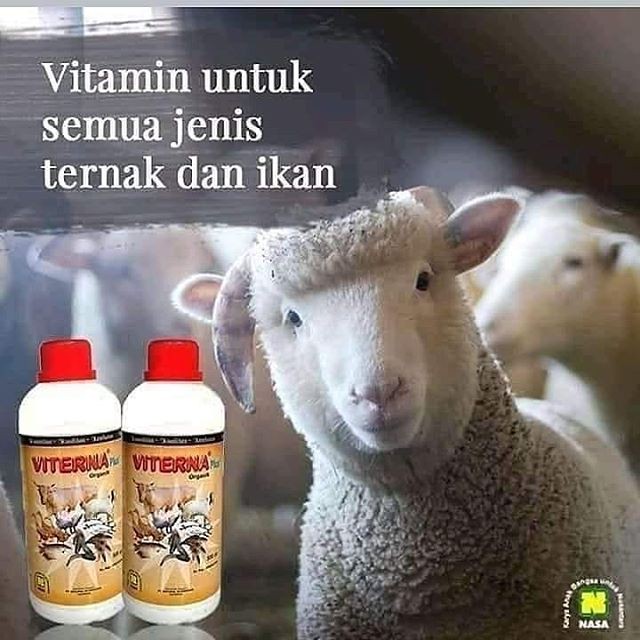 Jual VITAMIN TERNAK DAN IKAN VITERNA PLUS NASA Shopee Indonesia