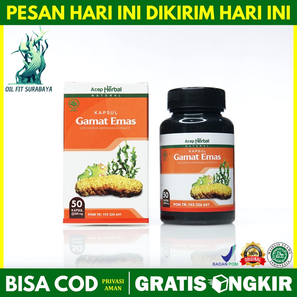 Jual Kapsul Gamat Herbal Emas Original Atasi Berbagai Macam Penyakit