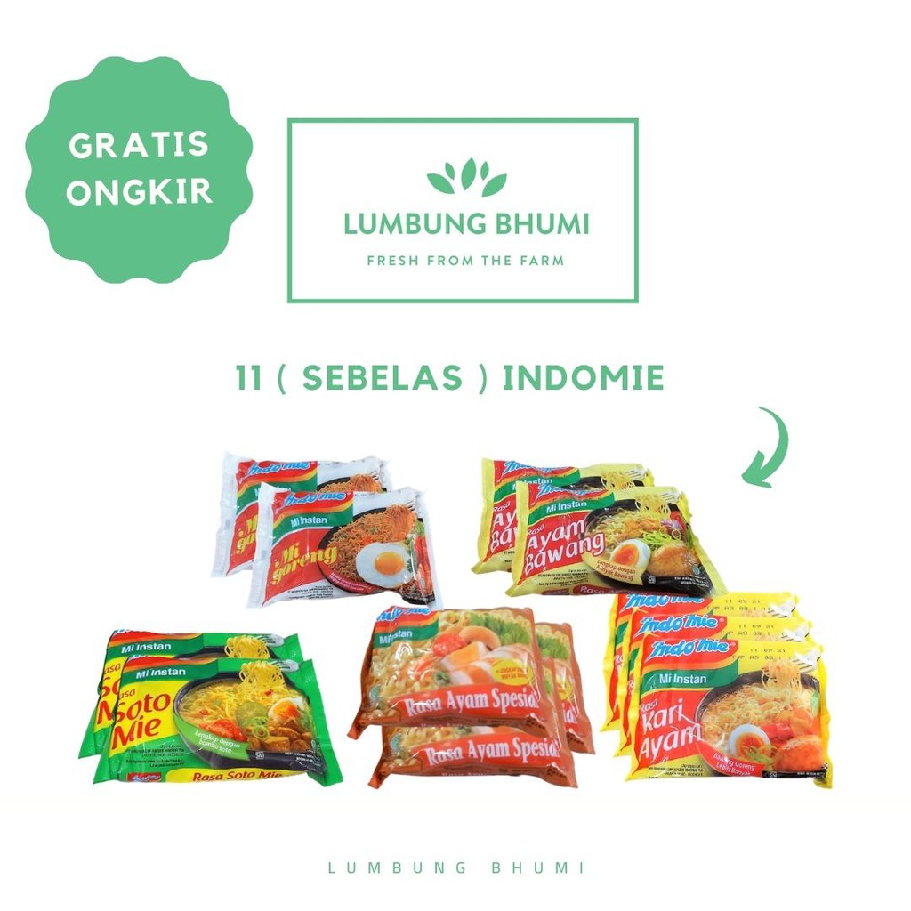 Jual Lumbung Bhumi Paket Indomie Mi Mie Instant 13 Pcs Bahan