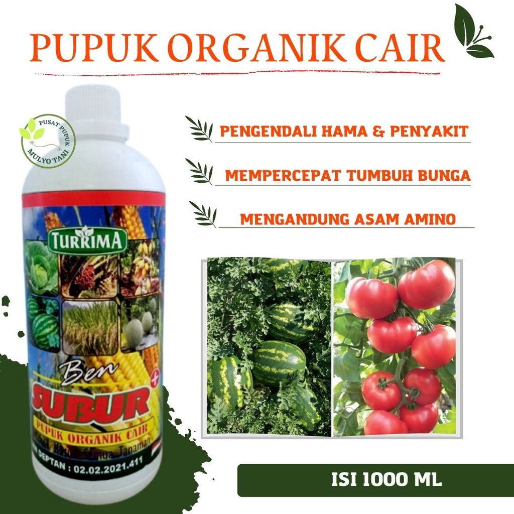 Jual Pupuk Tomat Masa Pertumbuhan Pupuk Cabai Agar Cepat Merah Pupuk