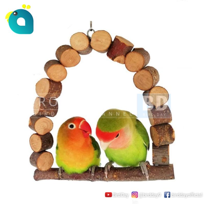 Jual Mainan Tangkringan Ayunan Burung Parrot Lovebird Parkit