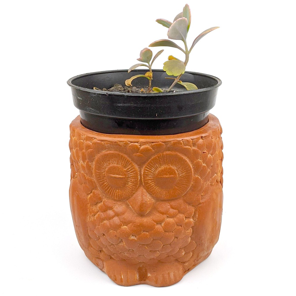 Jual Pot Terracotta Tanah Liat Gerabah D Owl Shopee Indonesia