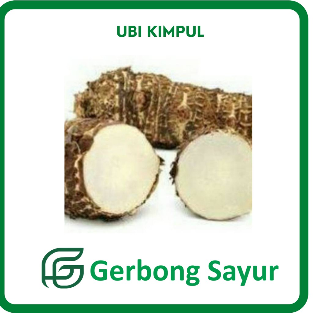 Jual Ubi Kimpul Segar Kg Shopee Indonesia