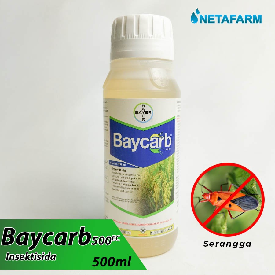 Jual Pestisida Insektisida BPMC BAYER BAYCARB 500EC 500ml 1pcs