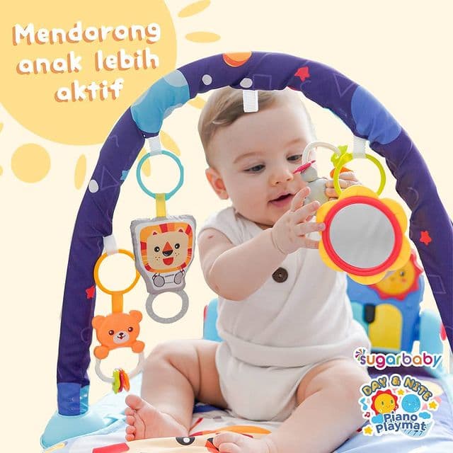 Jual Sugar Baby My Chair Kursi Makan Bayi In Baby Booster And High