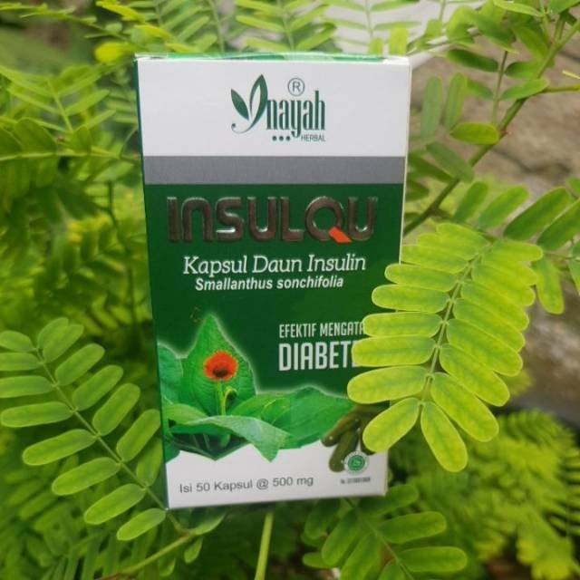 Jual Kapsul Insulqu Daun Insulin Inayah Efektif Mengatasi Diabetes