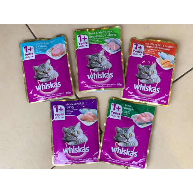 Jual Whiskas Pouch Gr Adult Junior Makanan Kucing Shopee Indonesia