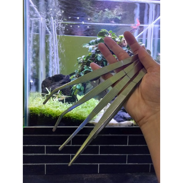 Jual Pinset Bengkok Lurus Aquascape Aquarium Cm Cm Cm Shopee