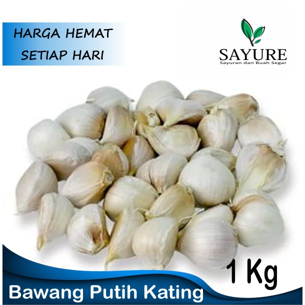 Jual BAWANG PUTIH KATING 1 KG Shopee Indonesia