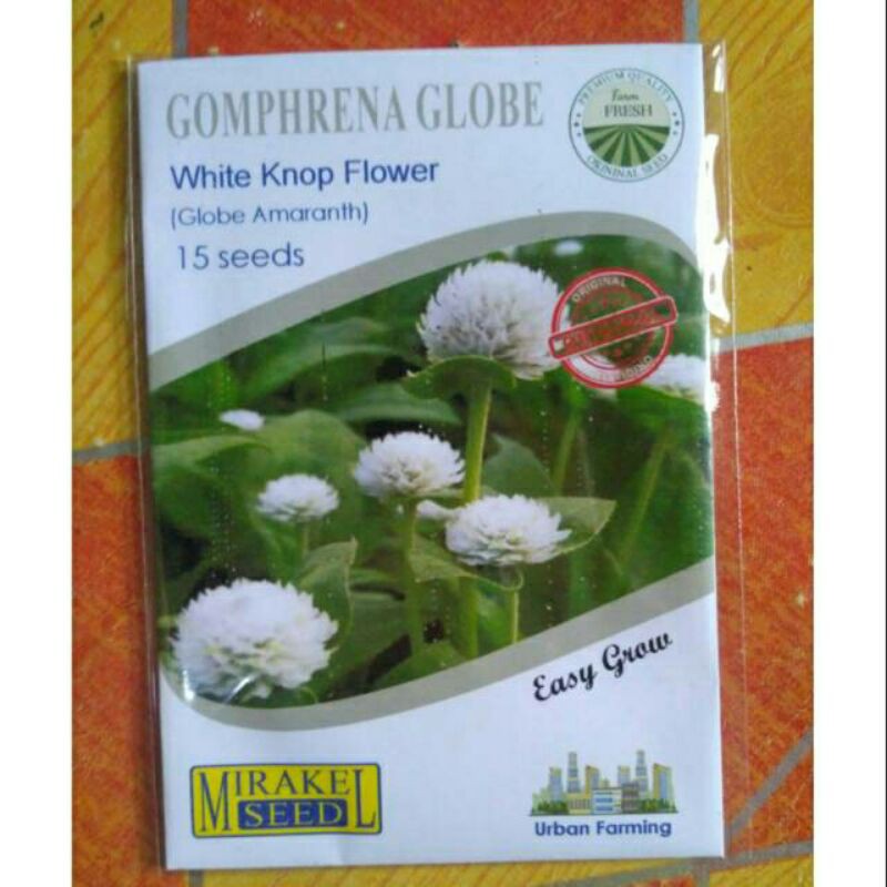 Jual Gomphrena Globe Packs Isi Biji Shopee Indonesia