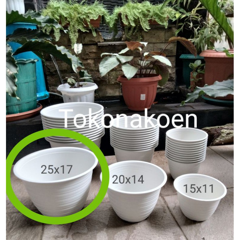 Jual Pot Bunga Tawon Putih Ukuran 25cm Merek Yukari Shopee Indonesia