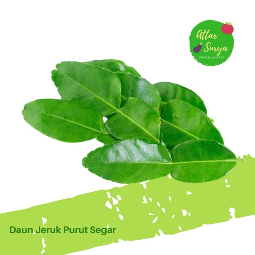 Jual Daun Jeruk Purut Segar Shopee Indonesia