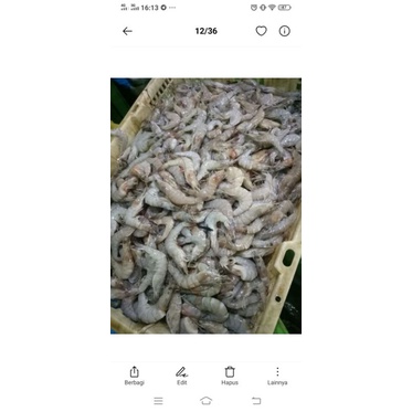 Jual Udang Vaname Besar Shopee Indonesia