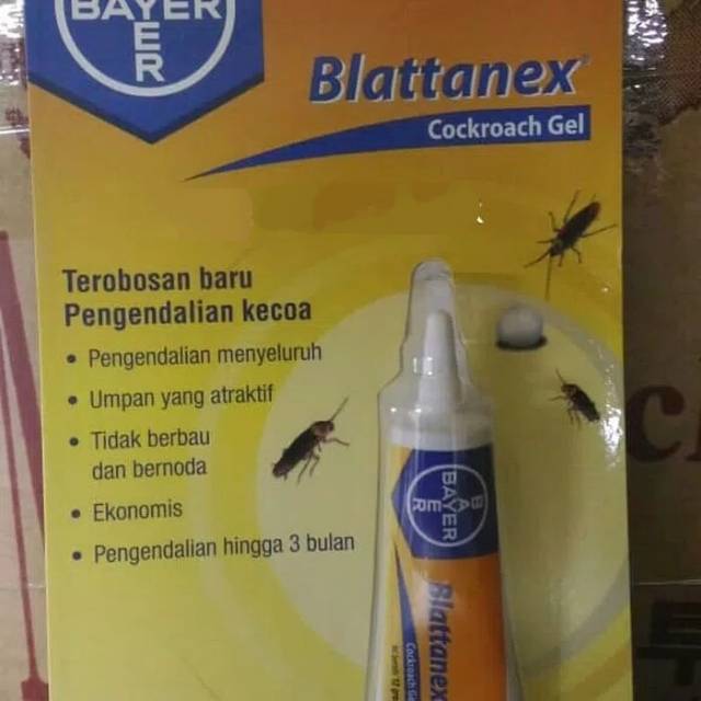 Jual Racun Kecoa Blattanex BAyer Shopee Indonesia