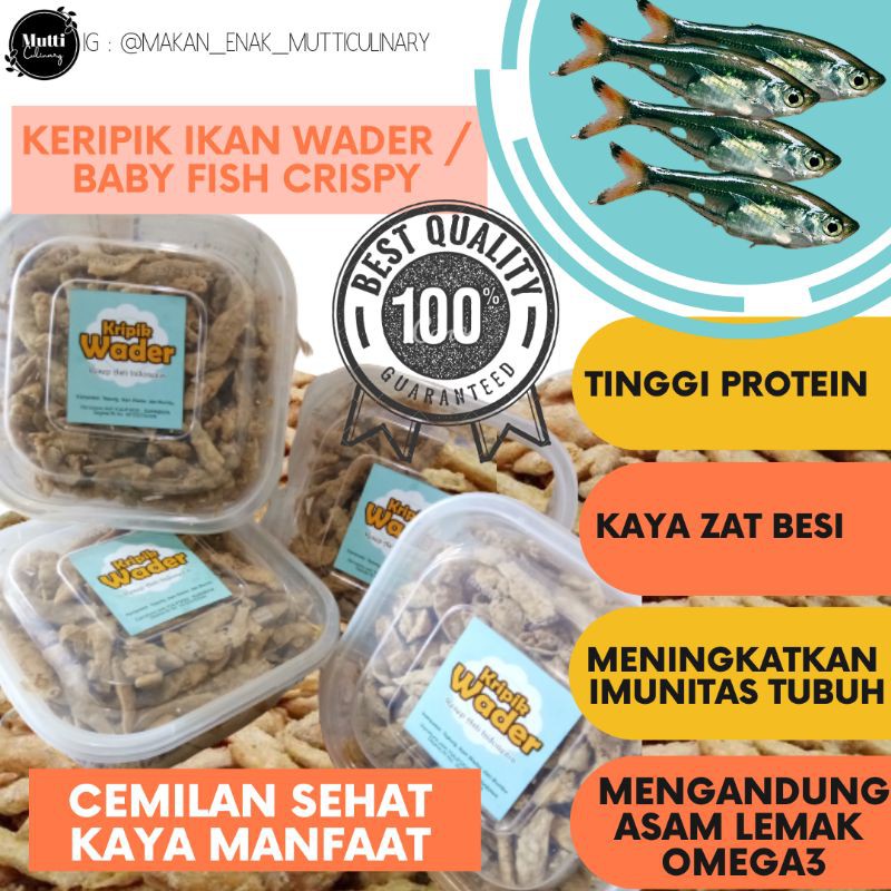 Jual Keripik Ikan Wader Petek Baby Fish Crispy Goreng Toples No Msg