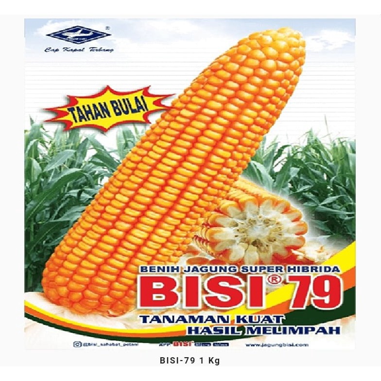 Jual Benih Jagung Bisi Kg Shopee Indonesia