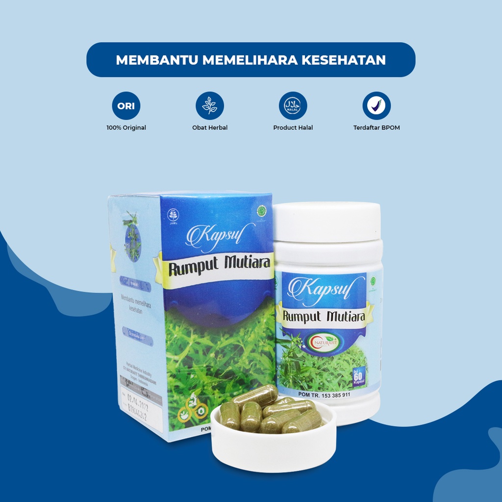 Jual Obat Herbal Memelihara Daya Tahan Tubuh RUMPUT MUTIARA Shopee