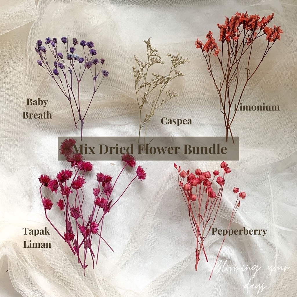 Jual Bloomingyourdays Bunga Kering Dried Flower Bundle Mix Diy Glass