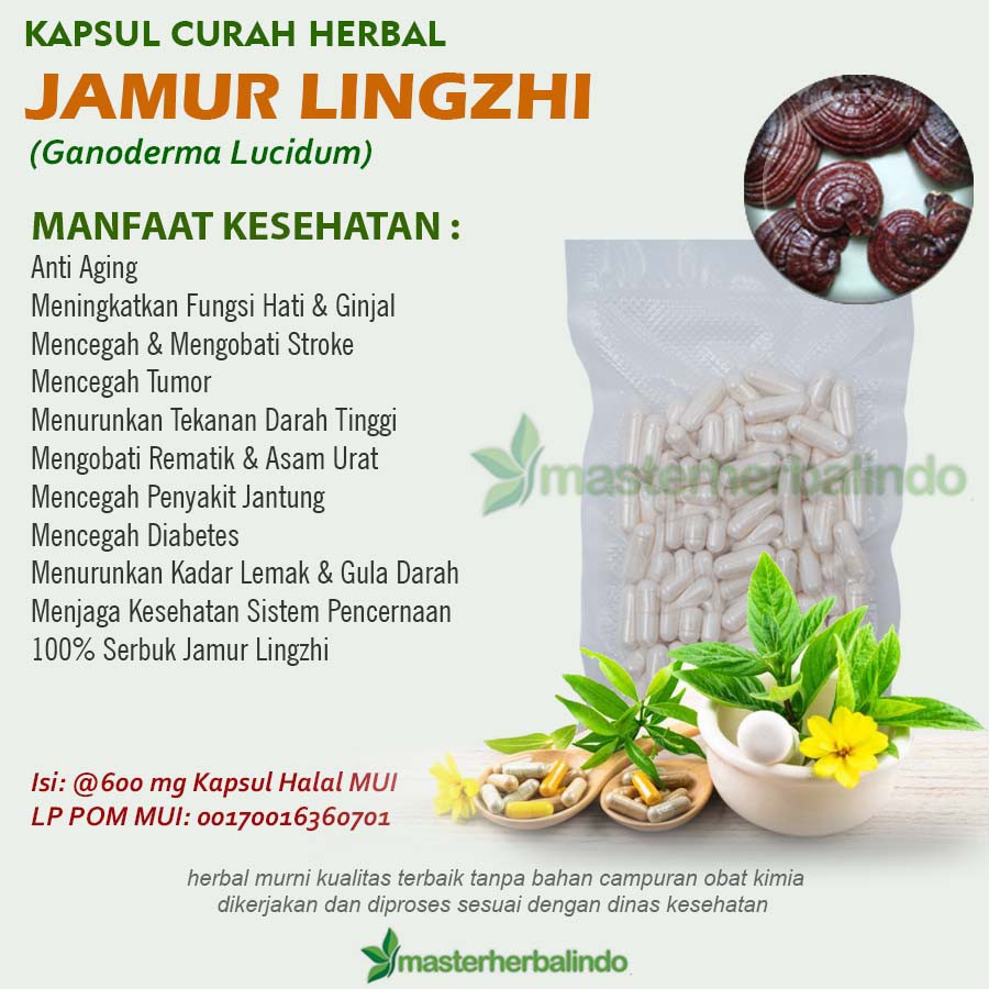 Jual Deskripsi JAMUR LINGZHI 100 Kapsul Curah Herbal 600mg Tumor Kanker