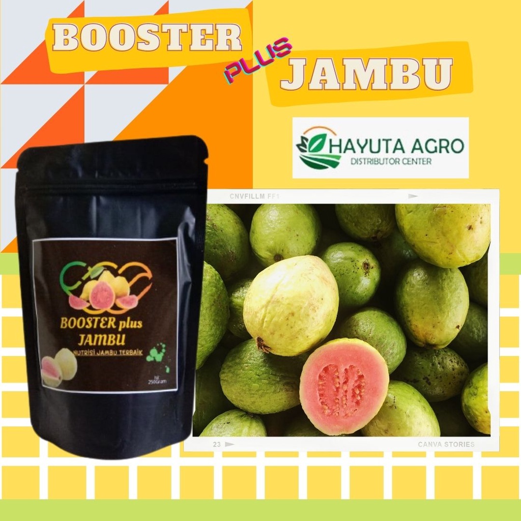 Jual Pupuk Jambu Air Agar Tidak Rontok Pupuk Jambu Jamaika Booster