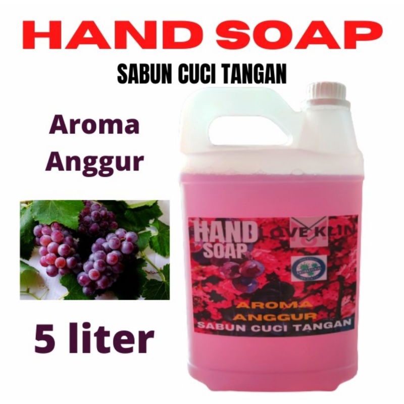 Jual Sabun Cuci Tangan Handsoap Antiseptik Liter Shopee Indonesia