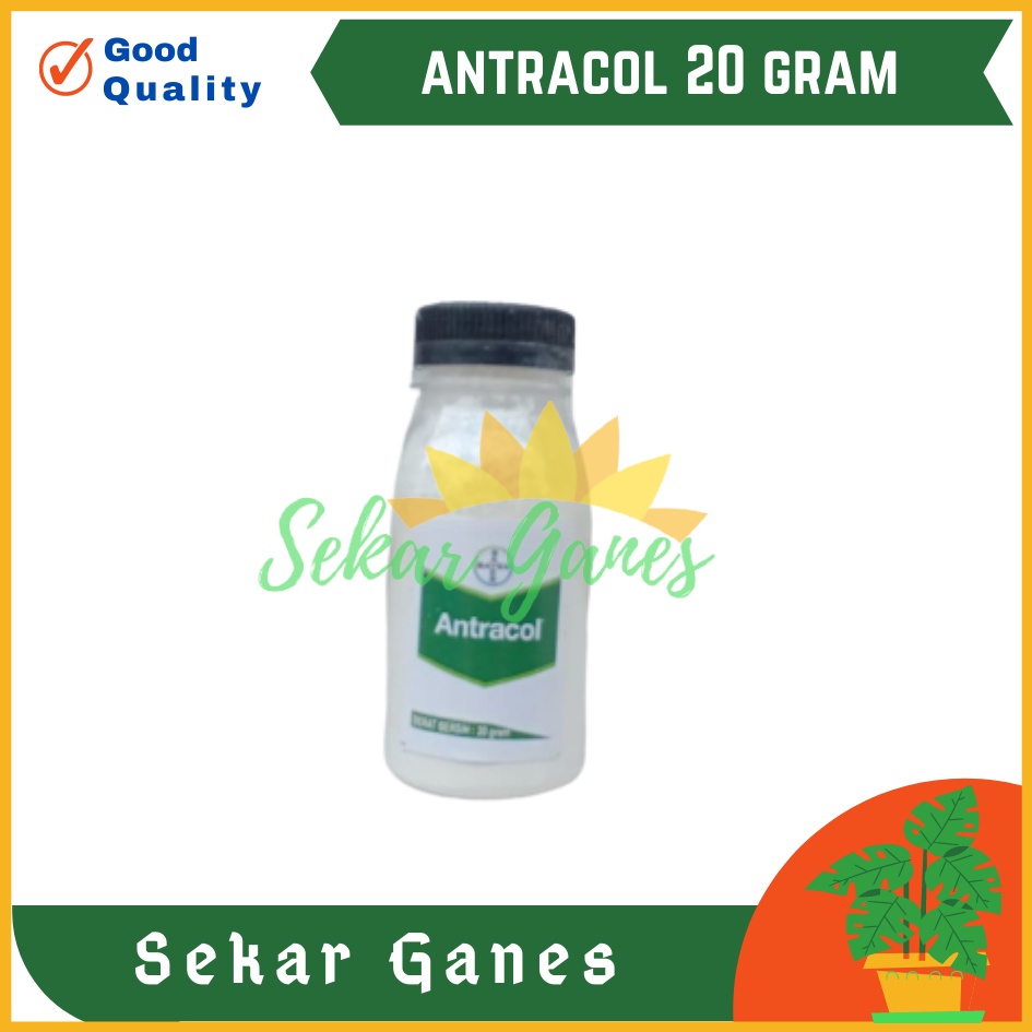 Jual Antracol Fungisida Botol 20 Gram Fungisida Antracol 70wp Zinc 250