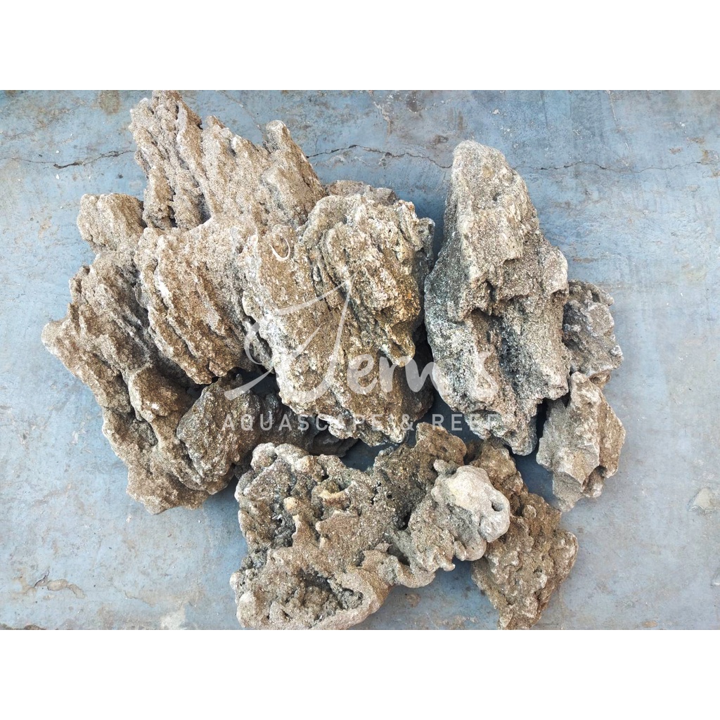 Jual Batu Pasir Aquascape Hardscape Aquascape Paludarium Vivarium