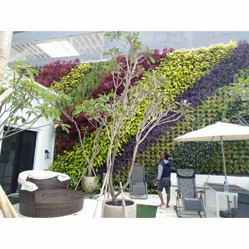 Jual Paket Vertical Garden Tanaman Vertical Garden Penyiraman Otomatis