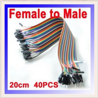 Jual KABEL JUMPER Female To Male 20cm 40PIN 40P Shopee Indonesia