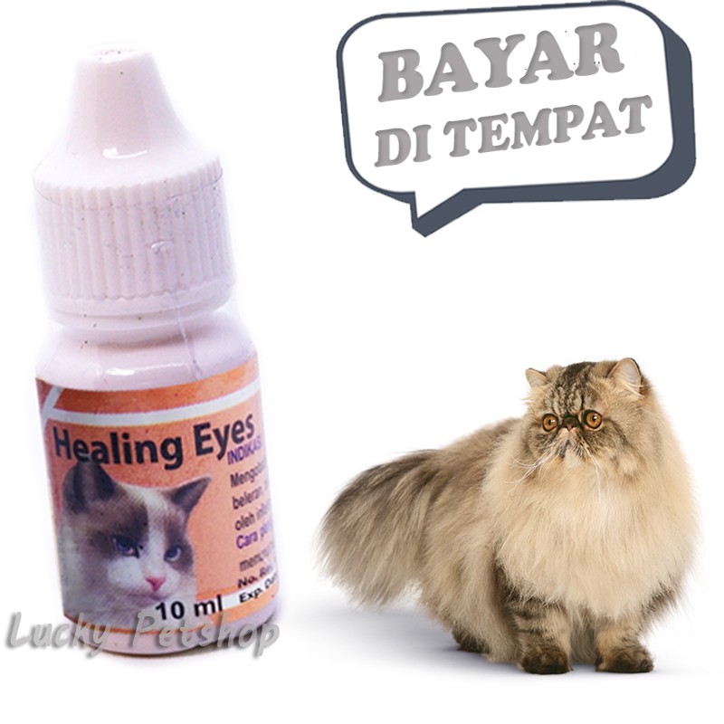 Jual OBAT TETES MATA KUCING BERCAK PUTIH KATARAK HEALING EYES Shopee