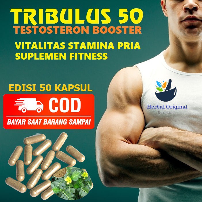 Jual Tribulus Testosteron Tribulus Terrestris Kapsul Herbal