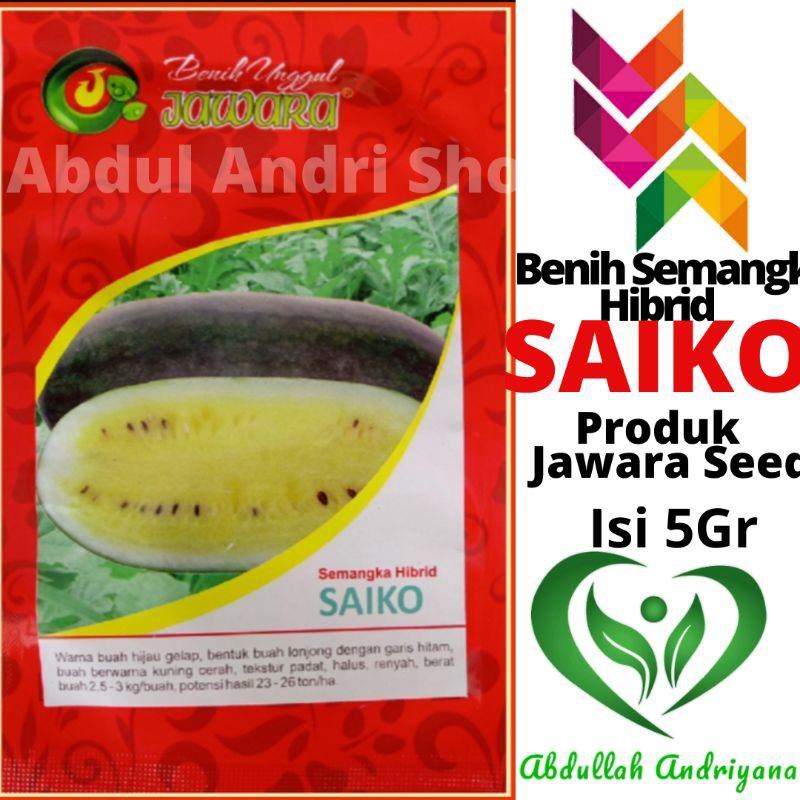 Jual Benih Semangka Kuning Hibrida Saiko Gr Produk Unggulan Jawara