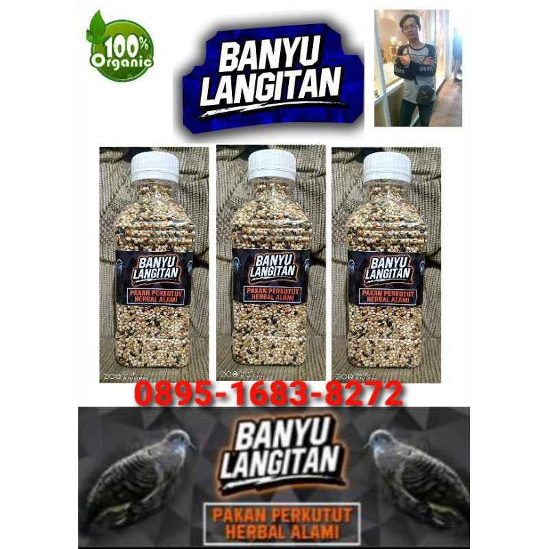 Jual Banyu Langkitan Pakan Perkutut Botol Shopee Indonesia