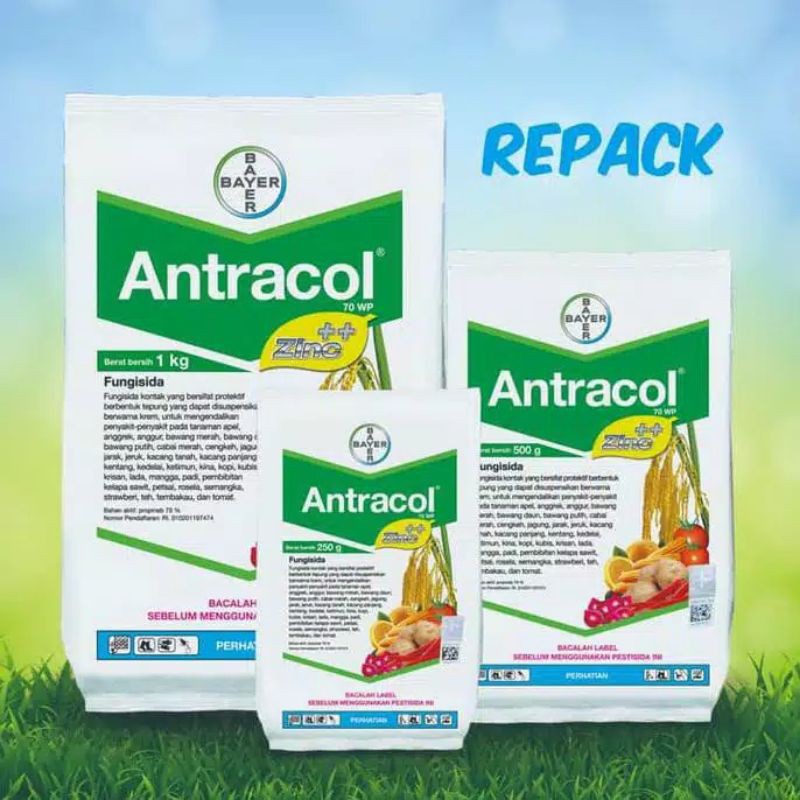 Jual FUNGISIDA ANTRACOL 70 WP ZINC KEMASAN REPACK Shopee Indonesia