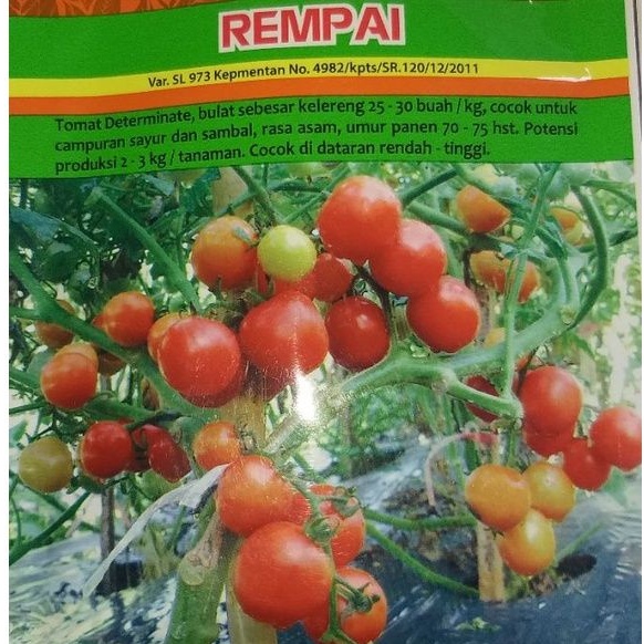 Jual 25 Biji Benih Tanaman Buah Tomat Rampai Shopee Indonesia