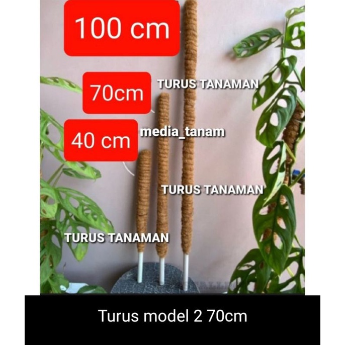 Jual Turus Tanaman Turus Penyangga Tanaman Merambat Shopee Indonesia