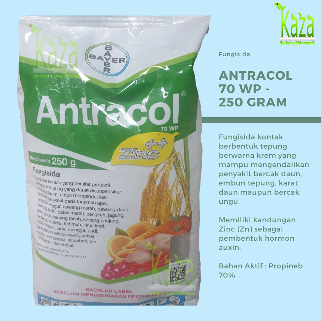 Jual Fungisida Antracol 70 WP 250 Gram Plus Zinc Anti Jamur Penyakit