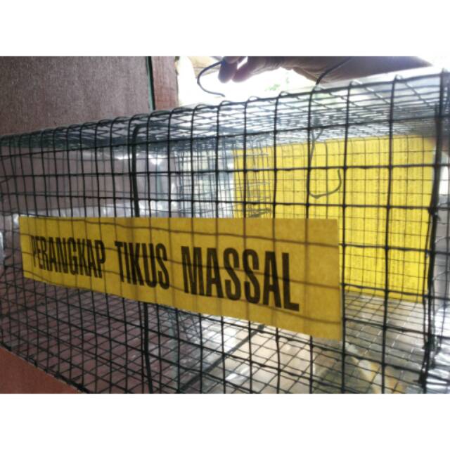 Jual Perangkap Tikus Massal Shopee Indonesia