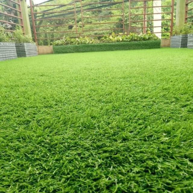 Jual Promo Rumput Sintetis Jepang Dengan Ukuran Panjang Lebar Nya