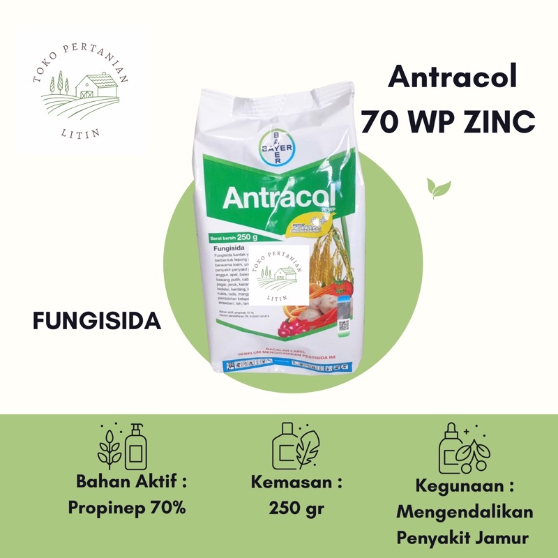 Jual Antracol 70 WP Zinc 250 Gr Fungisida Pengendali Penyakit