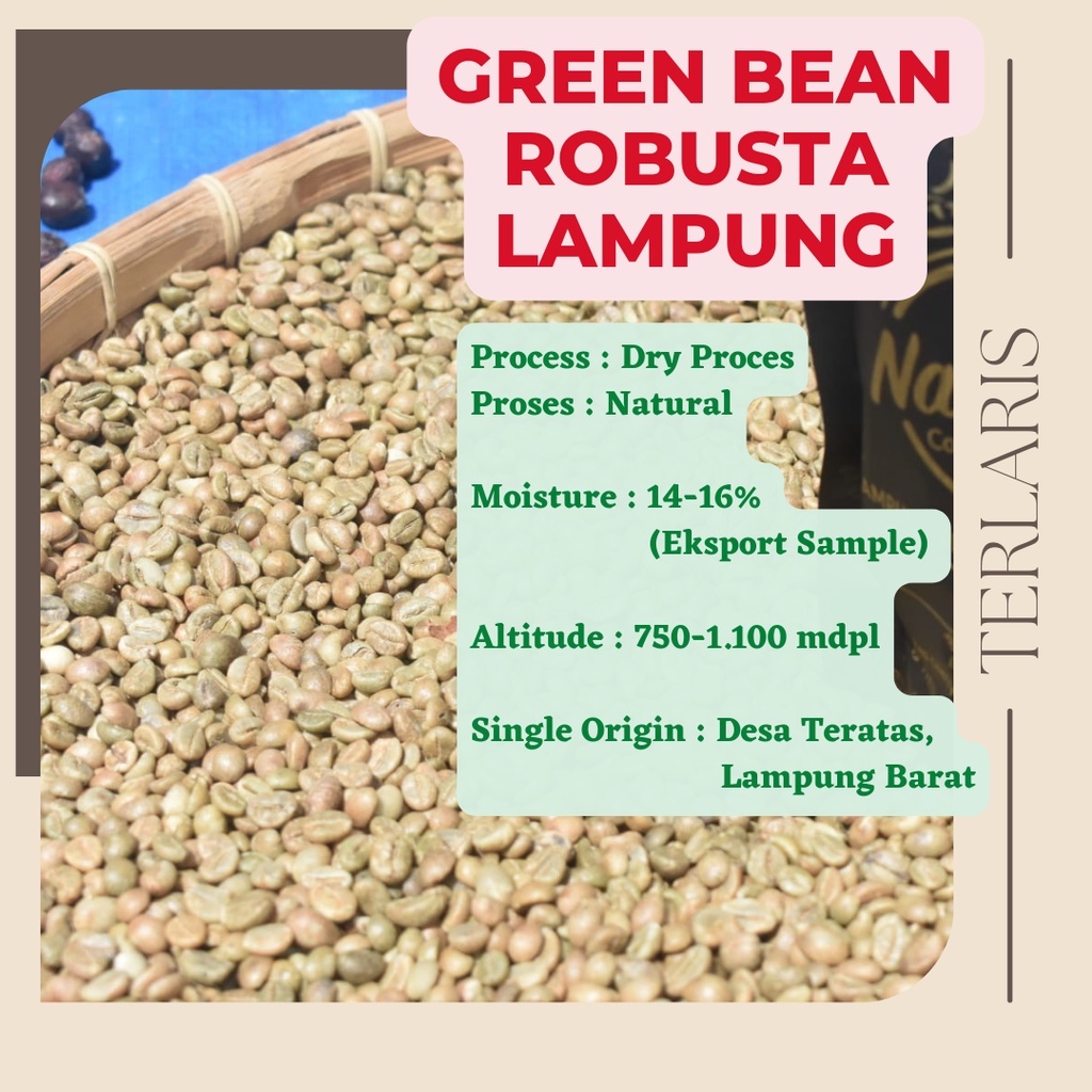 Jual Green Bean Biji Kopi Mentah Red Cherry Robusta Lampung Barat