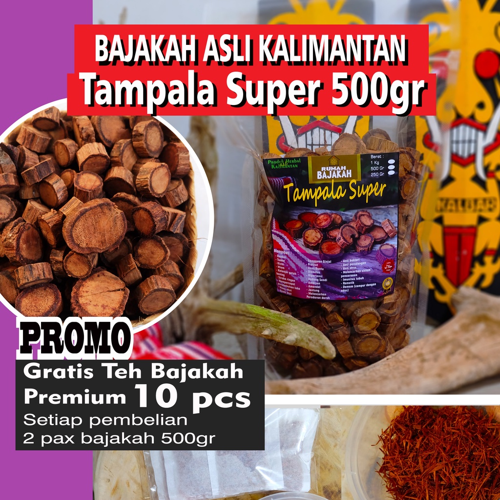 Jual ASLI Bajakah TAMPALA Super 500gr BONUS Teh Bajakah Akar Kayu