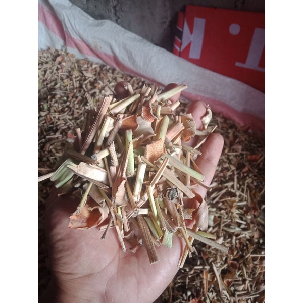 Jual Sereh Serai Sere Kering Bersih 1kg Shopee Indonesia