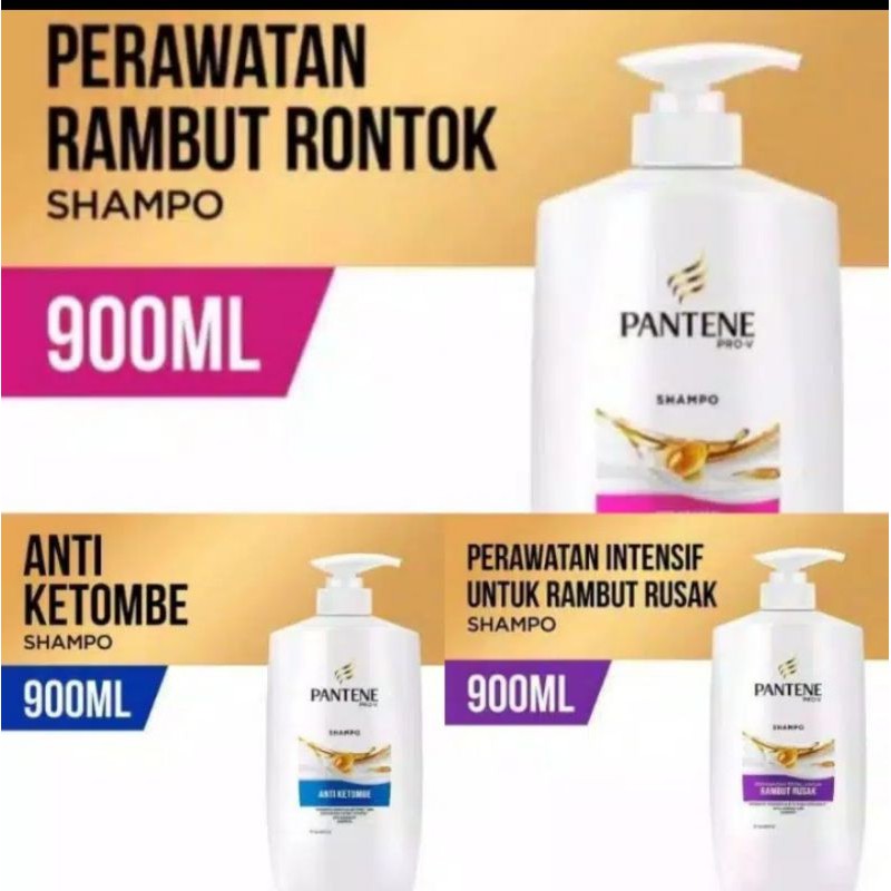 Jual Pantene Shampoo Hair Fall Control Anti Ketombe Anti Lepek Total