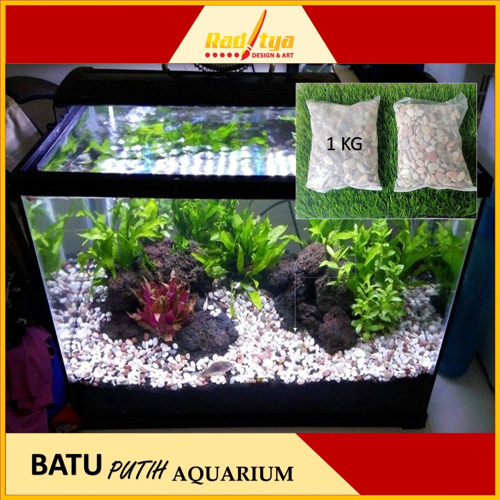 Jual Batu Pancawarna Hiasan Aquarium 1Kg Batu Putih Hiasan Aquascape