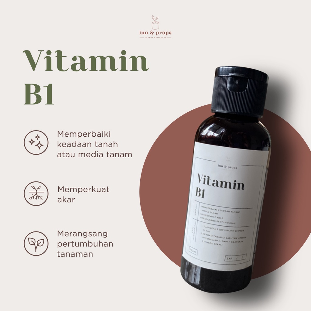 Jual Vitamin B Thailand Ml Shopee Indonesia