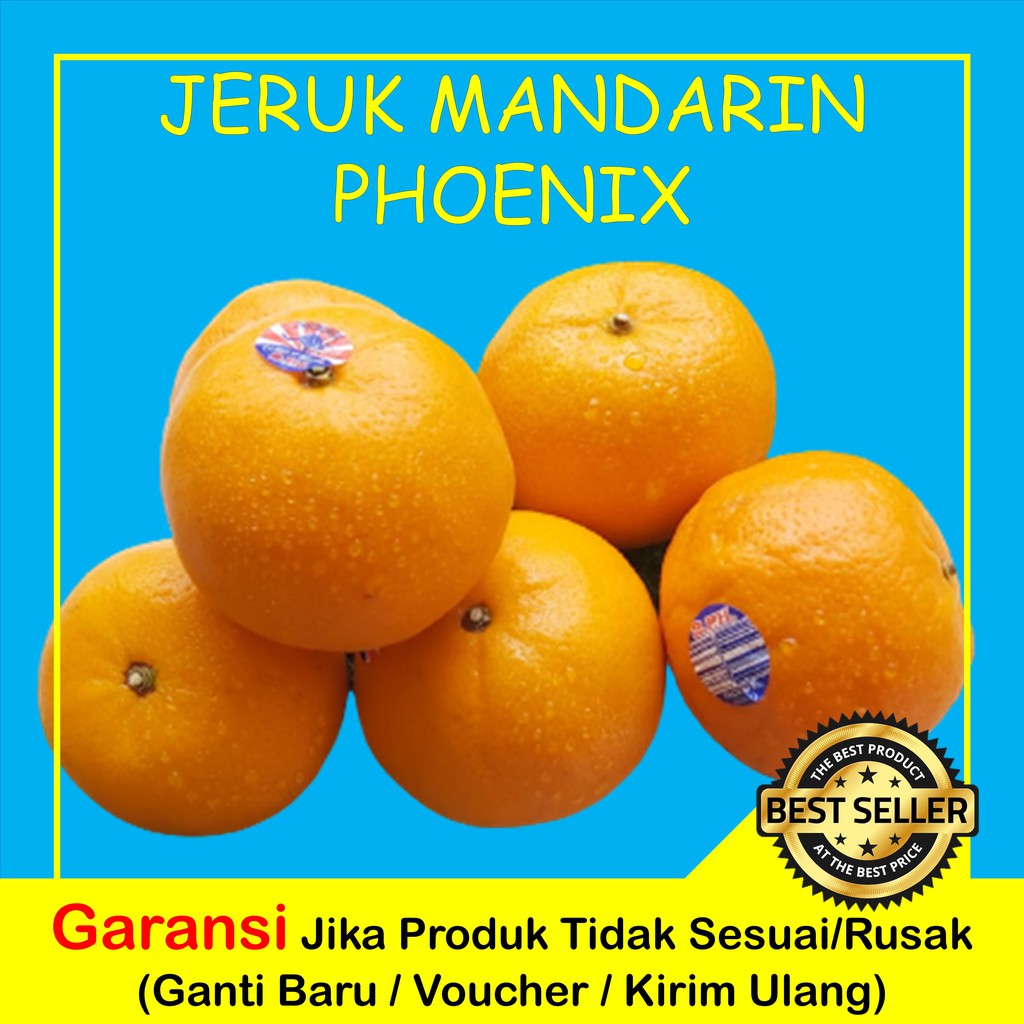 Jual Buah Jeruk Segar Tanpa Biji Jeruk Mandarin Phoenix Kg Shopee